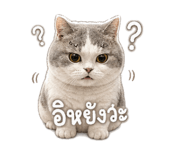 846676252
