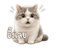846676253