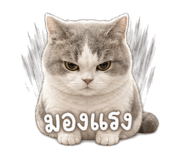 846676254
