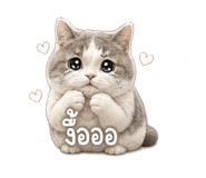846676256