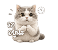 846676258