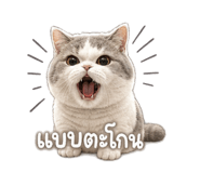 846676261