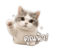 846676262