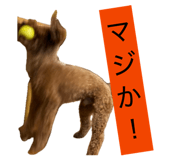 846678889