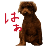 846678895