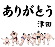 846681580