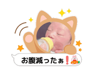 846695182