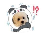 846695241