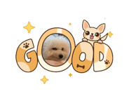 846695246