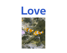 846696112