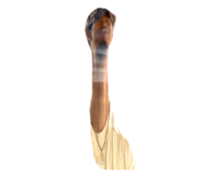 846707555