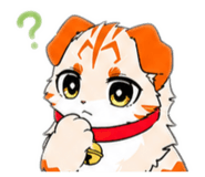 846708577