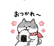 846710893