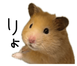 846722909