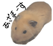 846722933