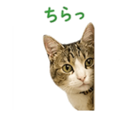 846722997