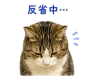 846723004