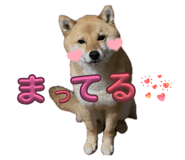 846735535