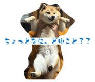 846735543