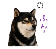 846735770