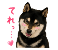 846735771