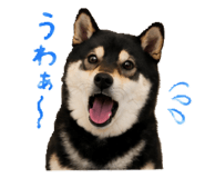 846735772
