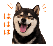846735774