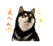 846735776