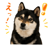 846735780