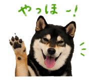 846735782