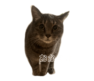 846739752