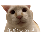 846739753