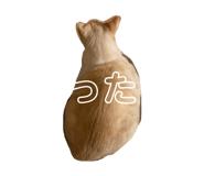 846739755