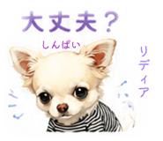 846741078
