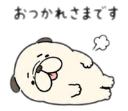 846742213