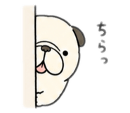 846742221