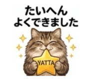 846743794
