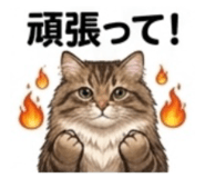 846743797