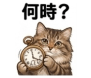 846743801