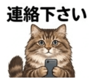 846743806