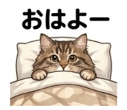846743829