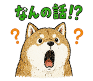 846744375