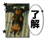 846744879