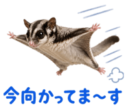 846744959