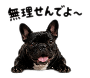 846745331