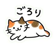 846747744