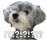 846748355