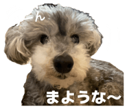 846748359