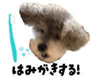 846748366