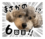 846748368